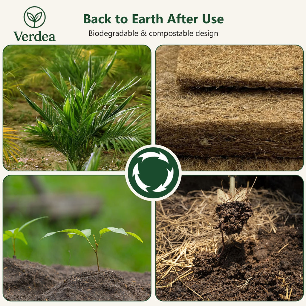 Natural Coconut Fiber & Cellulose Dish Sponges – 6 Pack, Eco-Friendly Biodegradable Kitchen Cleaning Sponges