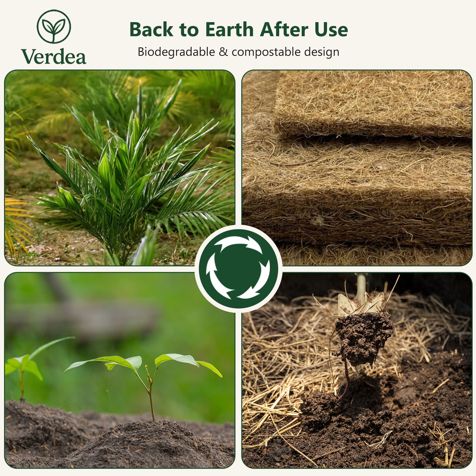 Eco-Friendly Coconut Fiber Sponges – 12 Pack Cellulose Scrub Pads for Kitchen, Non-Scratch & Compostable